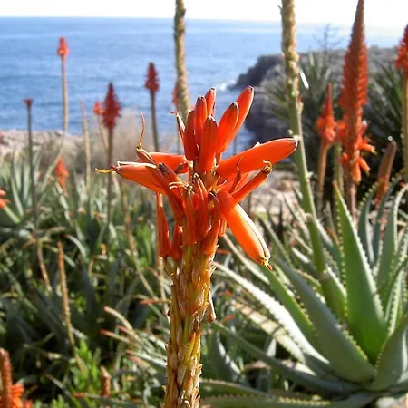 Holiday home In Parque Mar Cala D'or Porto Petro (Mallorca)